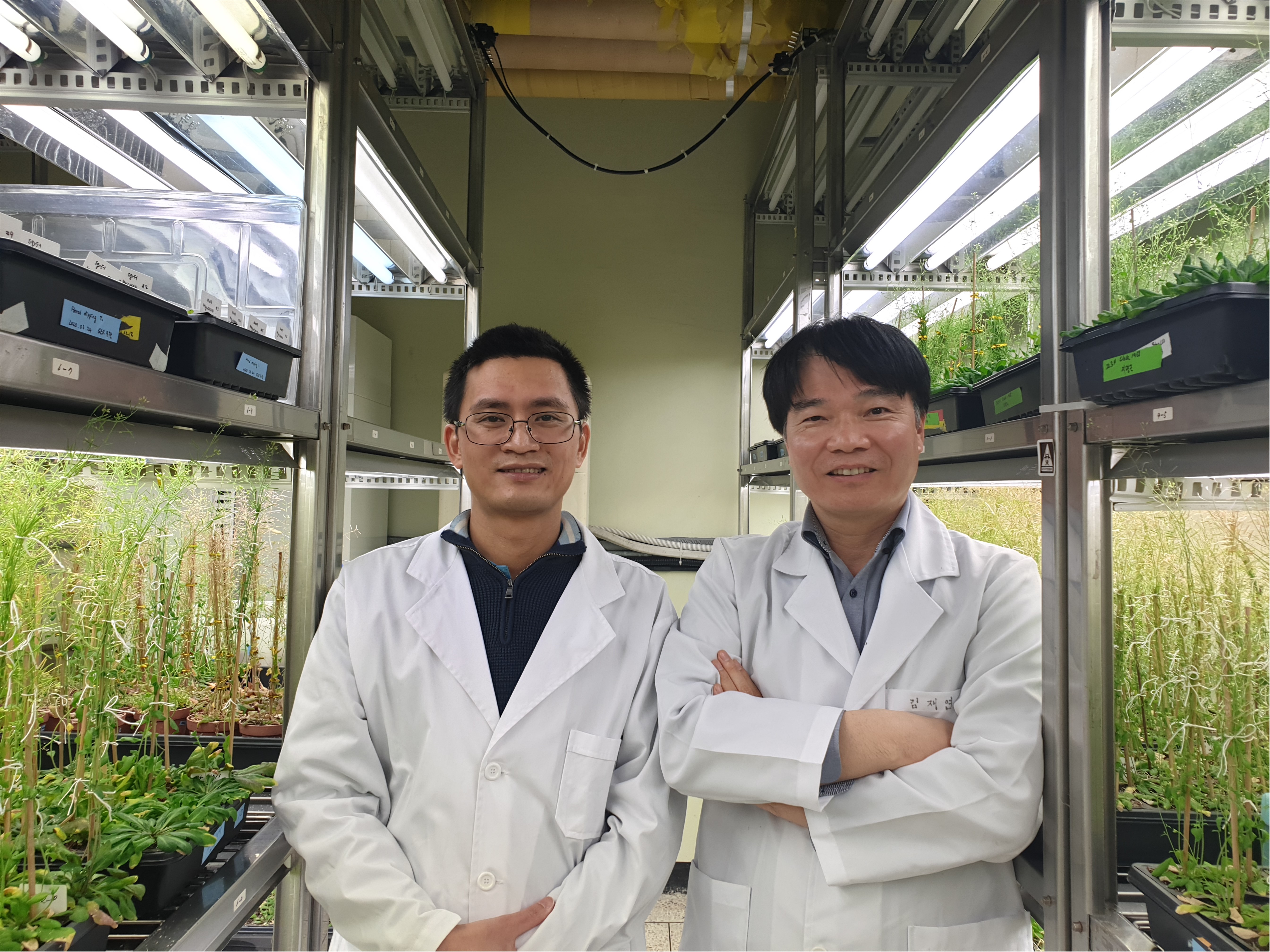 김재연 교수, ‘식물 정밀 유전자 삽입’ 기술의 새로운 방향성과 미래 청사진 제시
